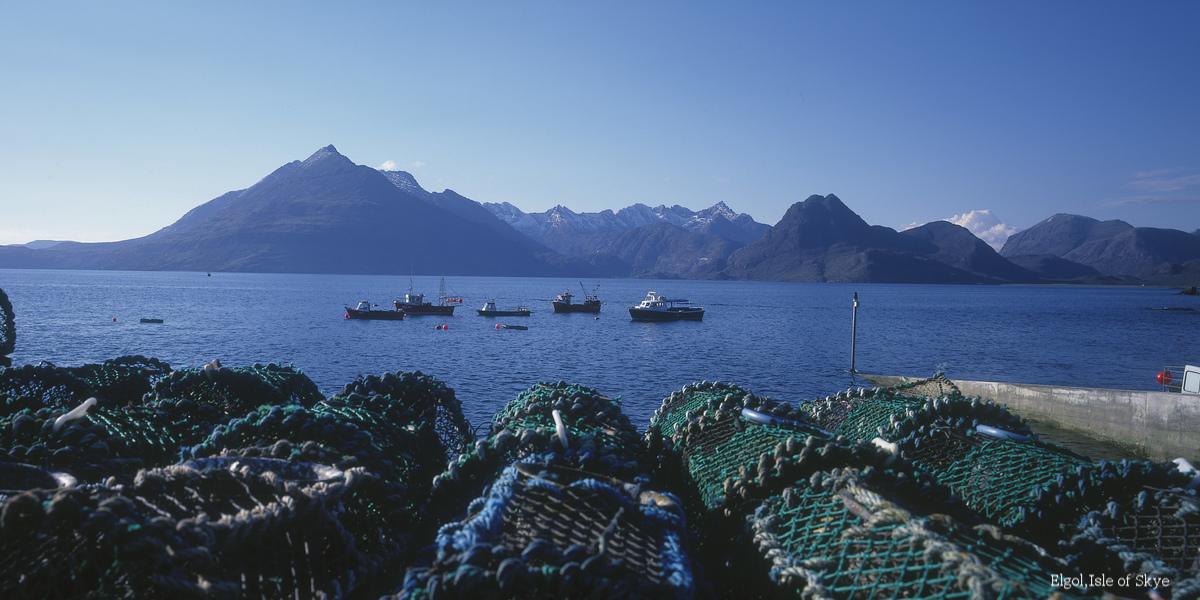 Fancy some fresh #seafood this weekend? DOWNLOAD our Foodie Trails eBook &amp; #TasteScotland bit.ly/1uiGlxz