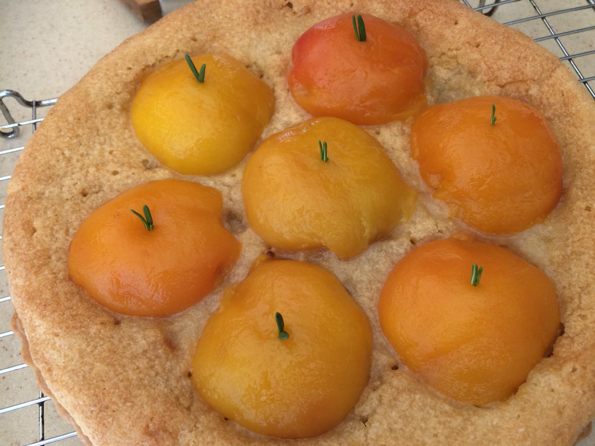battenburgbelle's tweet photo. Another fine tart from the @BertinetKitchen books - peach and rosemary #BertinetKitchen http://t.co/G2BoTOBqt0 http://t.co/uF8uQNQpn9