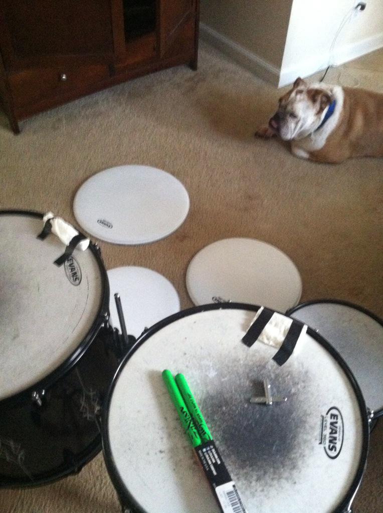 JGJohnsonMusic's tweet photo. http://t.co/elm61DlKTa