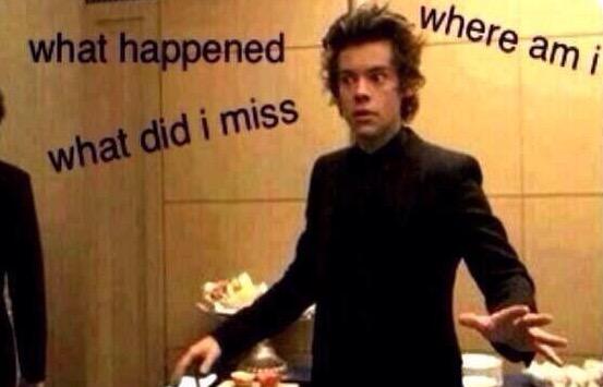 STYLATORARMY's tweet image. Me at this #ArianaRESPECTLouis hashtag