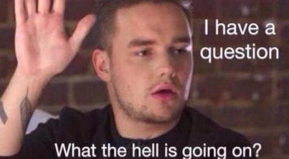 STYLATORARMY's tweet image. Me at this #ArianaRESPECTLouis hashtag