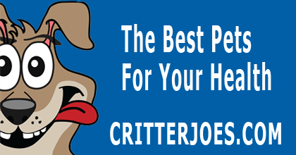 CritterJoes's tweet photo. The Best Pets and Animals For Your Health https://t.co/PN1lm7efqx  #pethealth #petnews #pet #ledcollars #critterjoes https://t.co/PzeAGeZAjM