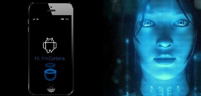 download SEK – ein Insiderbericht