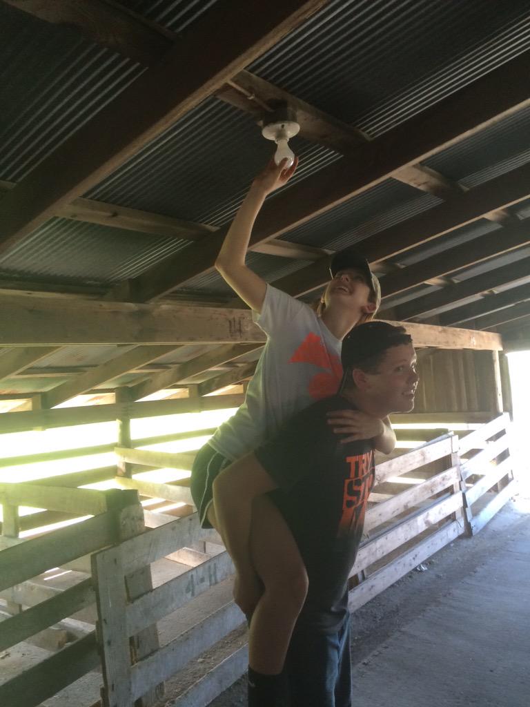 tfarms2's tweet photo. How many 4-H'ers does it take to screw in a lightbulb? More than one #boxholder #bulbholder #screwers #peopleladders http://t.co/3OqOMEiWeZ
