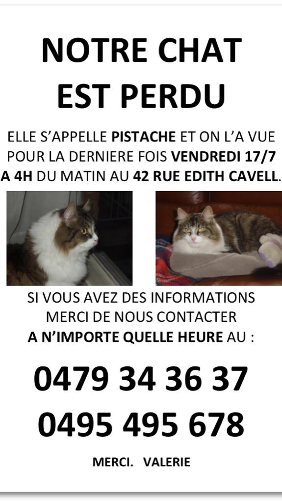 jeanalexis_JAS's tweet photo. #Chat perdu à #Uccle #1180be 
#Disparition #RTsvp 
cc @aurelieczeka @JoBiermann @frcuccle @BorisDillies http://t.co/UaSnf8GvvE