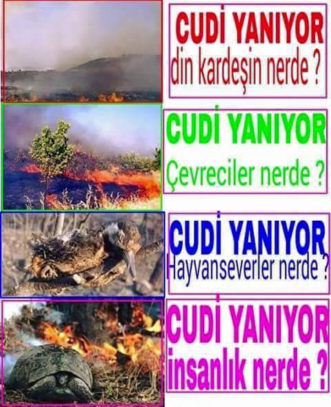af88ec699ade4ce's tweet photo. Faisstler artik daqllarmizi yakiyorlar http://t.co/B9ow1W9agC