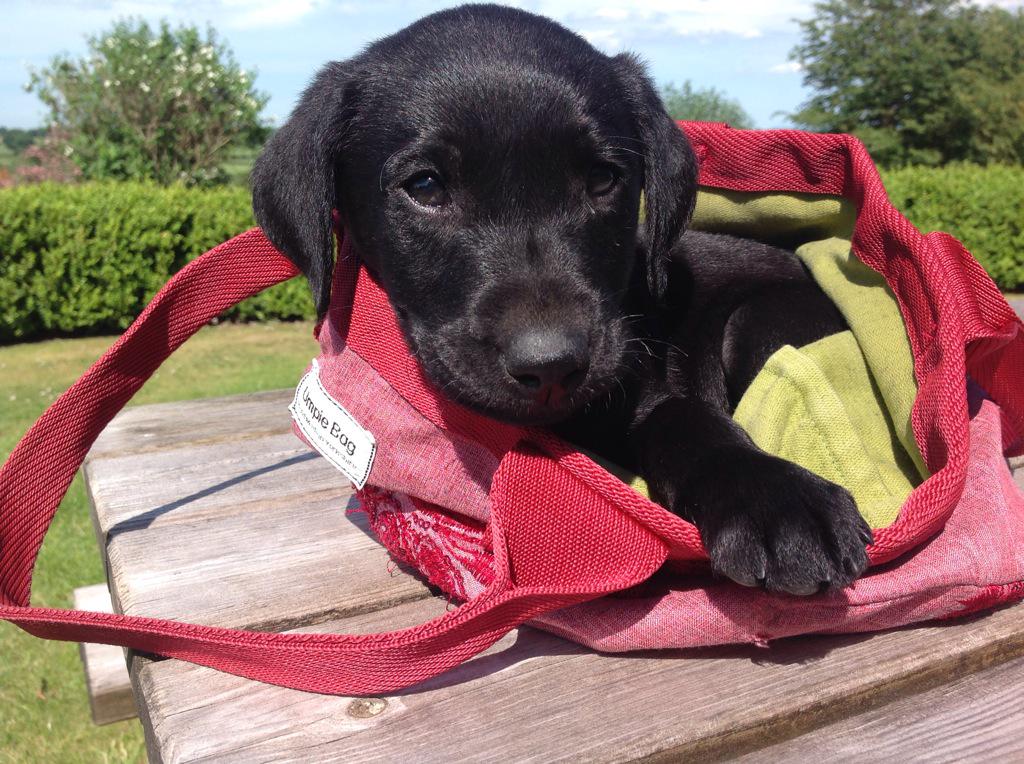 Something old and something new #vintage umpie bag umpie.co.uk