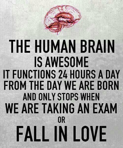 jackiie_bee's tweet photo. Who can relate? #BIOL121HACC #exams 😝 http://t.co/EThuPPECgL