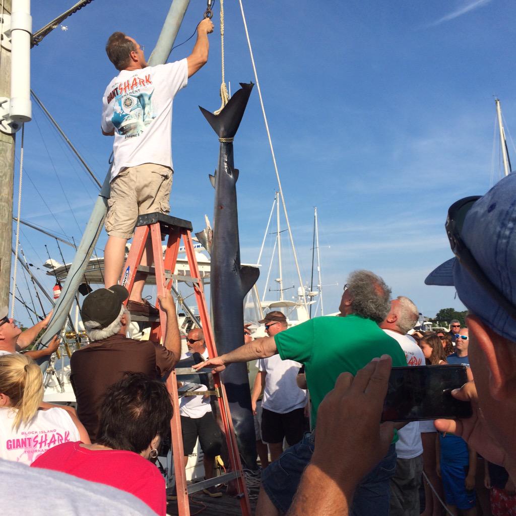 BlockIslandRes's tweet photo. Shark tournament on Block Island this weekend at Paynes Dock. #blueshark #blockislandsharktournament http://t.co/qoXA78RSLQ