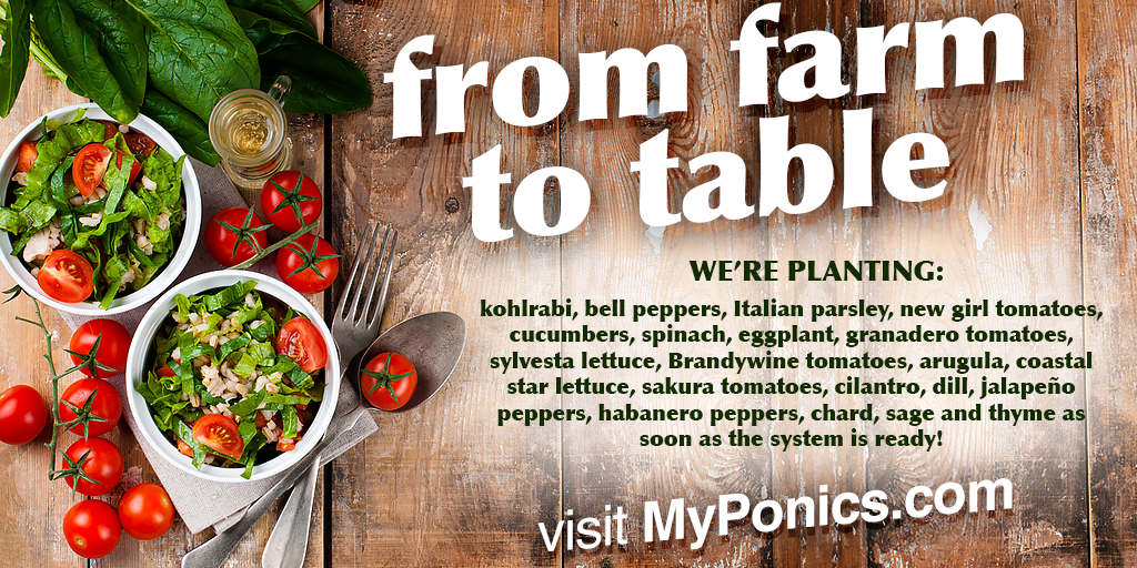 MyPonics's tweet image. From farm to table, we're planting many varieties of peppers, tomatoes, greens, spices, and more this summer!