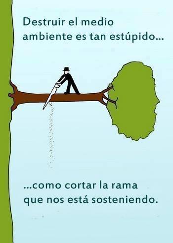 Ecogranjero's tweet photo. Destruir el medio ambiente es tan estúpido como cortar la rama que nos está sosteniendo http://t.co/3Mrar6vWhw