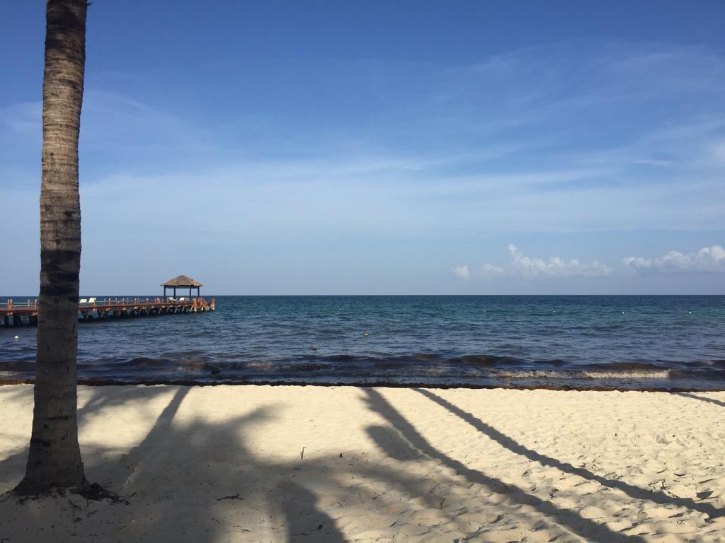 kunior's tweet image. #CurrentSituation #7/11/15