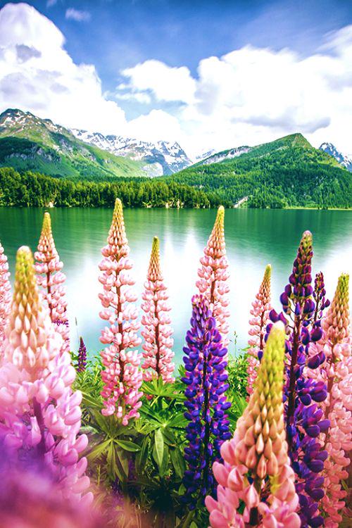 cheaprvacations's tweet photo. #Switzerland http://t.co/gfeBmK2KQH