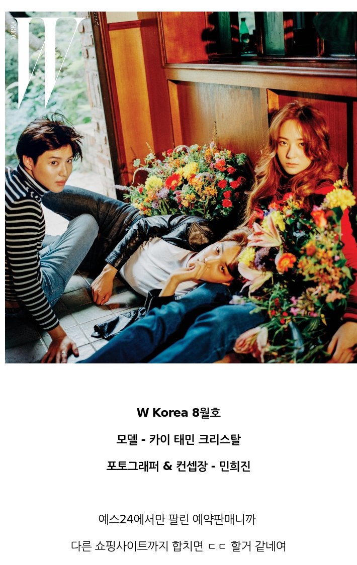 instiz tweet picture