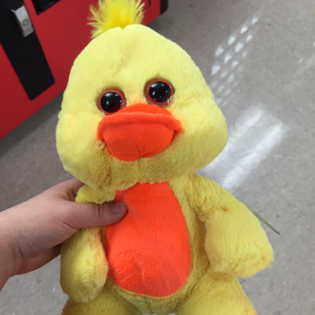 sorrowisawoman's tweet photo. I WON A CREEPY DUCK IN A CLAW MACHINE http://t.co/q6Nmq2YCq6