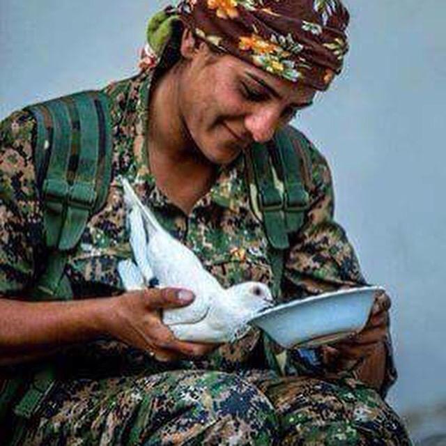 Nav_Roj's tweet photo. Eğer bir yerde erkekler öldürüyosa kadının görevi yaşamı savunmaktır kadının savunduğu #RojavaDevrimi3Yasinda http://t.co/CpeW0W3LPN
