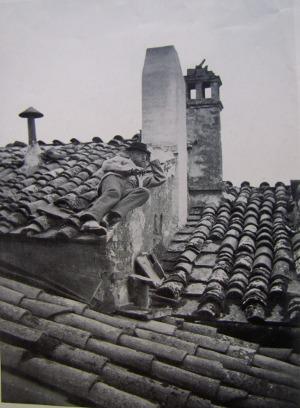 petricore 🦈 tweet media