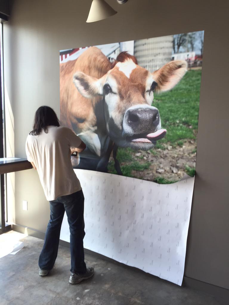 FastSignsATX's tweet image. Installing some large wall graphics. #lickicecream