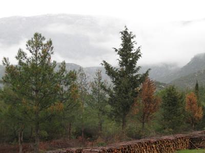 www57.zippyshare.com/v/5RoRABXR/fil…
kruder&amp;dorfmeister-thivery corporation (mixed by bulut)