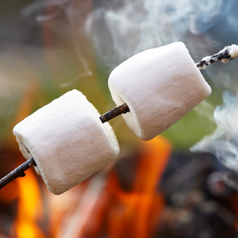 Gather around the fire and toast up the mallows &amp; grams - #CampPluralsight is now in session: buff.ly/1fGupA3