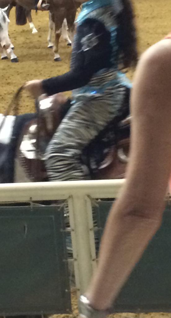 aphadreams's tweet photo. first time ever seeing zebra chaps... http://t.co/RefIqKXq1P