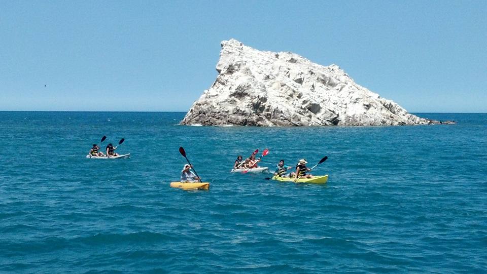 ecofuntrips's tweet photo. #come #have #fun #with #ecofunrentals 
#birdisland #sunday19@6am, #monday20, #tuesday21
#checkoutourFACEBOOK http://t.co/zH5TzJ2cnX