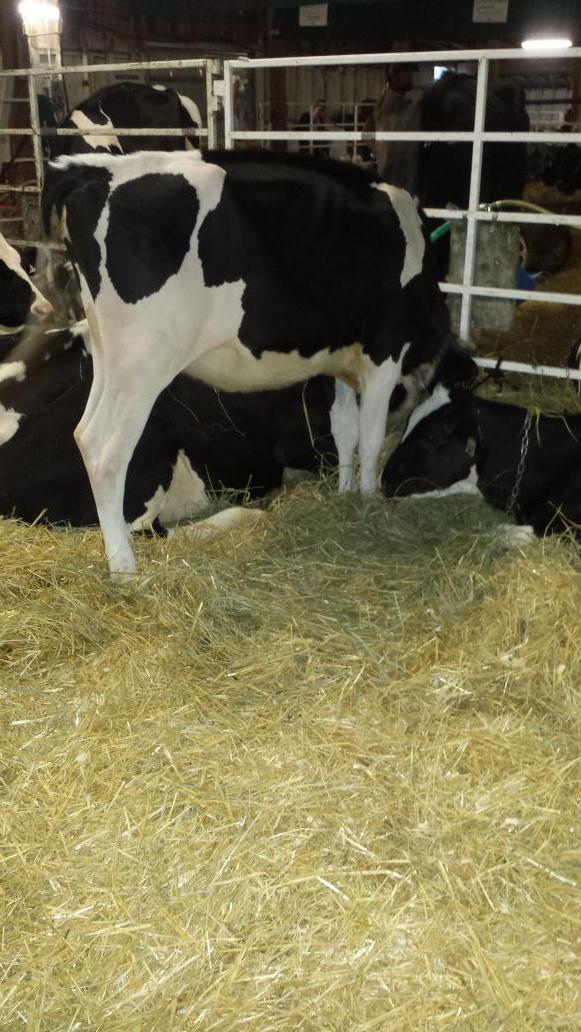 Bryan hoeppner tweet media