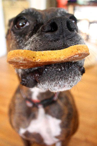 jackson_eats's tweet photo. Sunday #FUN day! Come into any store and receive 12 #cookies for the price of 6 :-) http://t.co/Gz8dgNkT0a