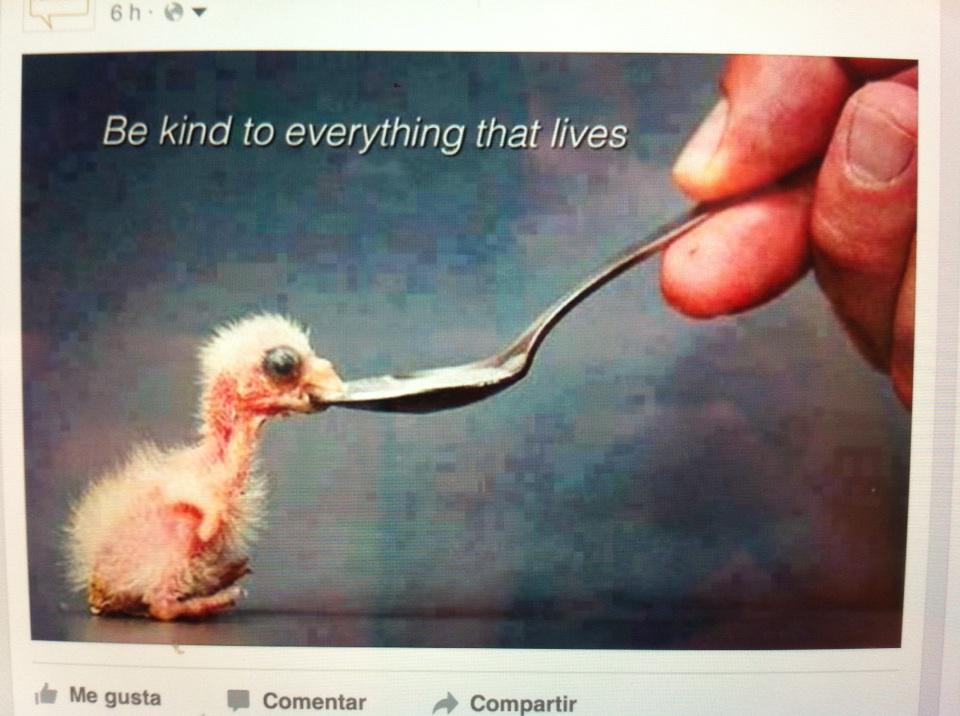 mdamiaans's tweet image. 