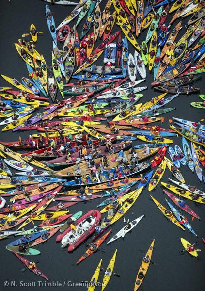 Greenpeace USA tweet media