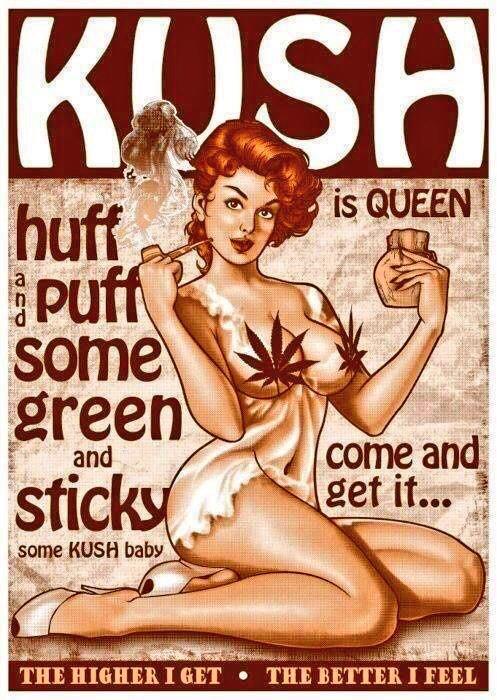 NorCalStoner420's tweet photo. Have A Nice Evening Everyone✨
~ #keepitkush #peaceout ~ http://t.co/tblX7inxXK