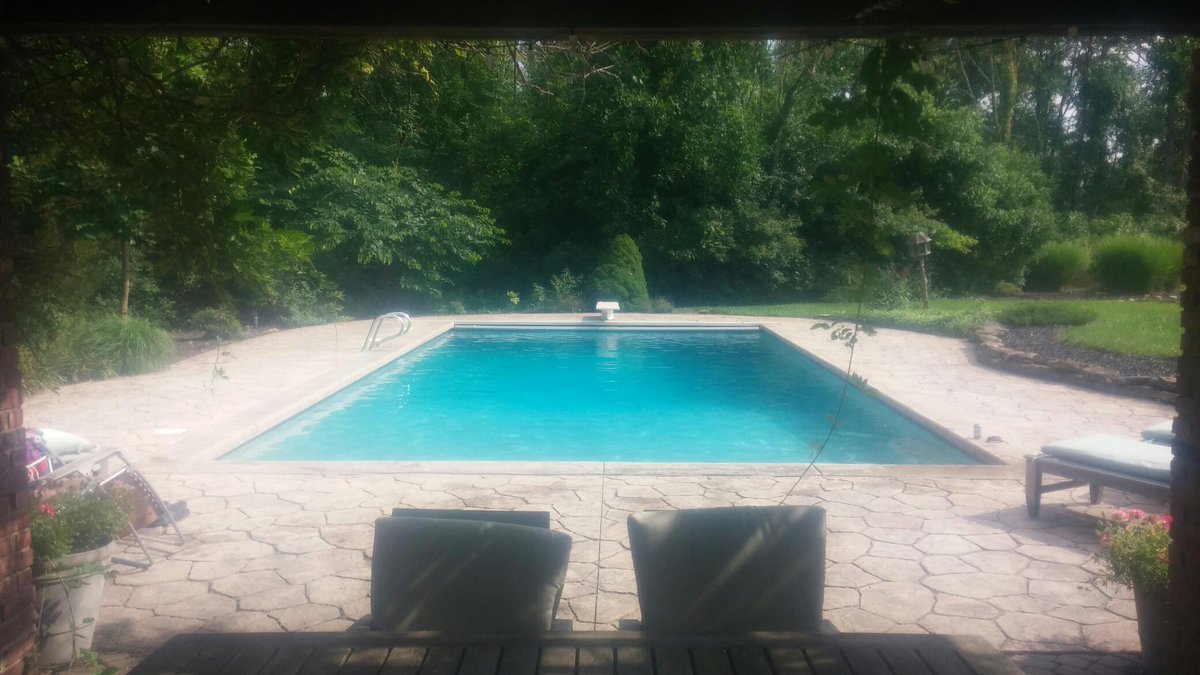 PeterFCourtney's tweet image. Hello my friend #poolsitting