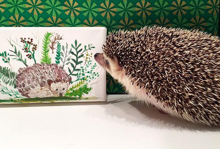 TeamCatBoat's tweet photo. @LavenderMordryd Oh yes! We couldn't give up those adorable pudgy hedgehog tweets once we started. @OfficialNala http://t.co/UoLKiGieAK
