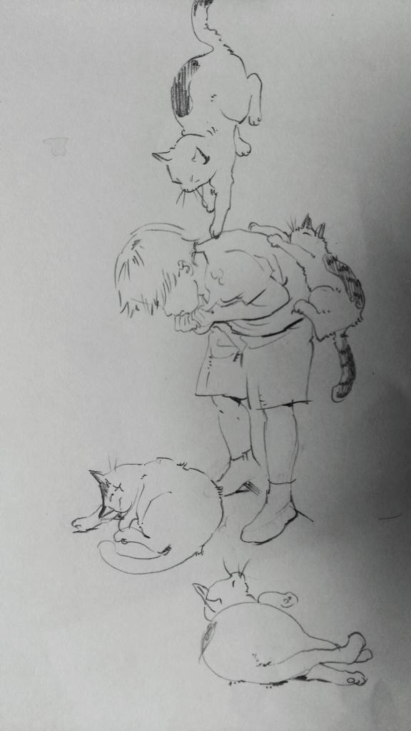ねこ、ねこ、ねこ。 