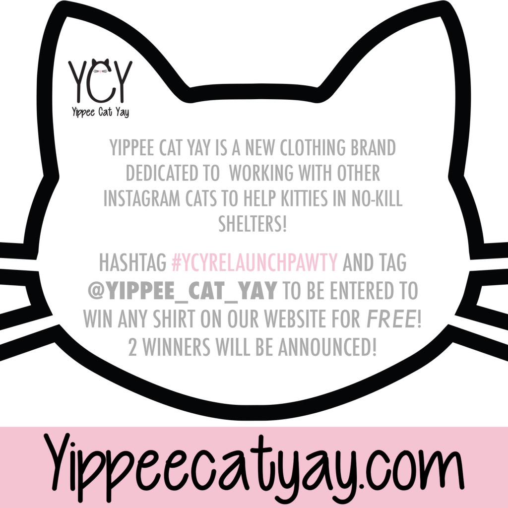 Yippee Cat Yay tweet media