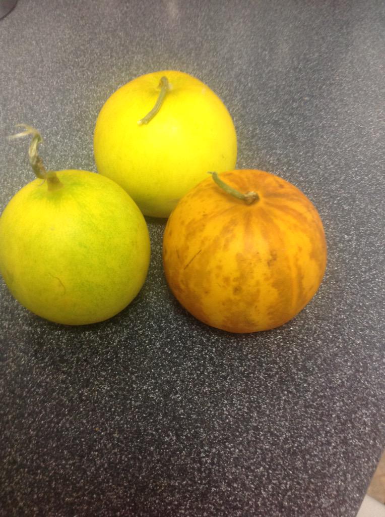 daves_32's tweet photo. #csa #veggieshare #veggies what are these Apple looking vegetables? @LFFCOOP http://t.co/M7zG8Isg77