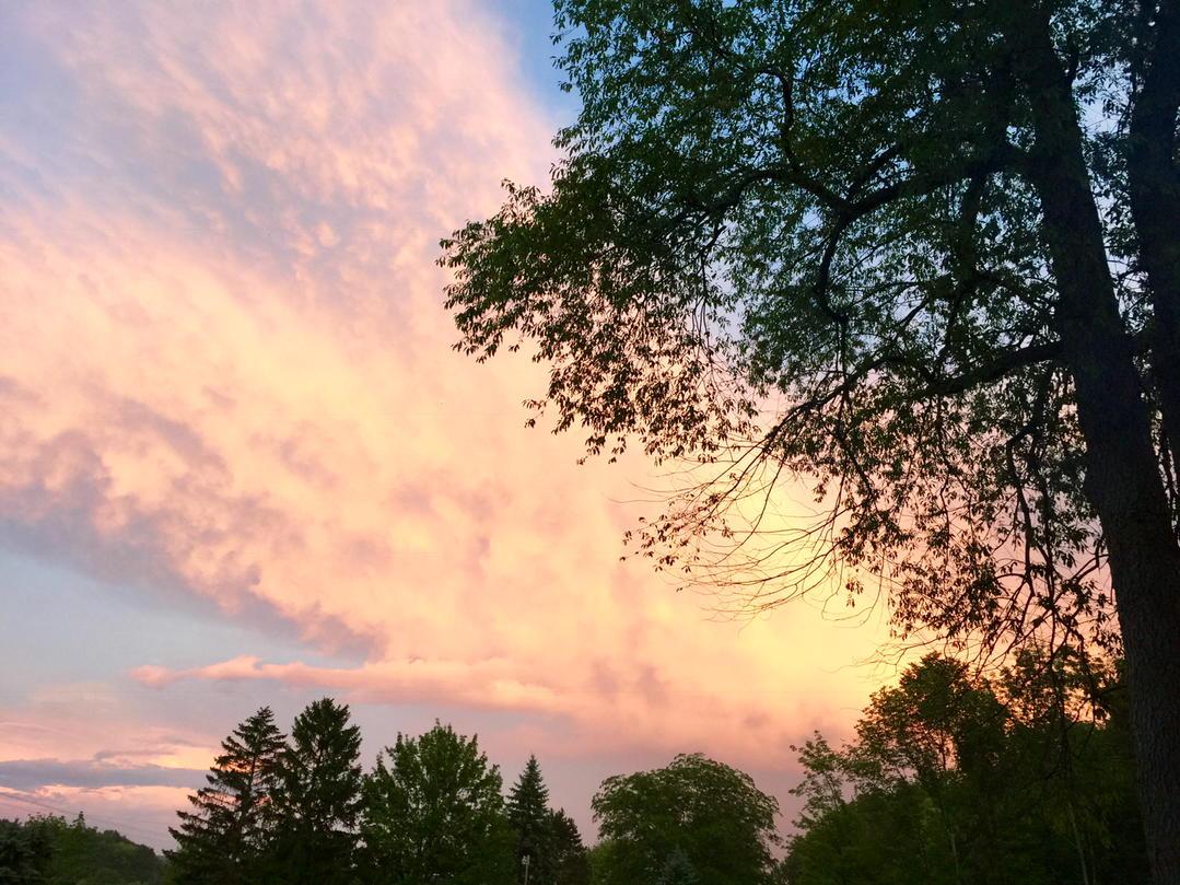 Camp Comanche tweet media