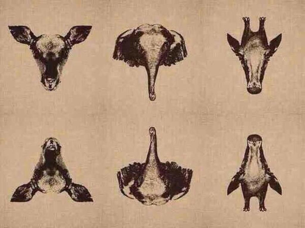 Apa yg kt dengar hanya OPINI, bukan FAKTA
Apa yg kt lihat hanya PERSPEKTIF, bukan FAKTA