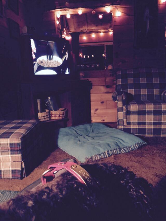 ETSU90's tweet photo. Pesky #americanwaterspaniel & I are #uptocamp & love watching #SDATV especially the venison recipes! #CABELASCANINE http://t.co/gc5F27LnRh