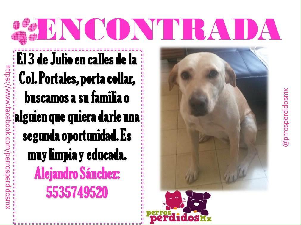 "<a href="/Lkfpaez/">LP</a>: <a href="/fellpudito/">Israel González</a> <a href="/EsEstra/">A L I 🐾</a> <a href="/rescatamx/">Rescata México</a>  @OmeTochtli_ <a href="/DefAnimalMX/">Defensoría Animal MX</a> "/ <a href="/La_Portales/">Colonia Portales</a>