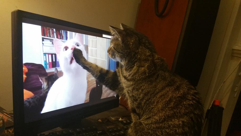 TR▲N§HUᙢȂ̶́̾̂͂̓̓̓̔͊̄̏͂̚͝N💀 ̖́ tweet media