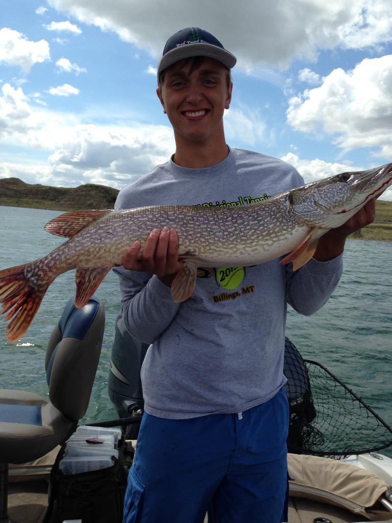 Not Jarod Asche tweet media