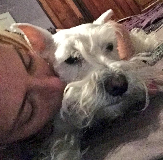 #rain #rainydaycuddles #truelove #clubsavannahjane http://t.co/c1ngknt5Zg<a href="/tag/rain"class="tags">#rain</a><a href="/tag/rainydaycuddles"class="tags">#rainydaycuddles</a><a href="/tag/truelove"class="tags">#truelove</a><a href="/tag/clubsavannahjane"class="tags">#clubsavannahjane</a>