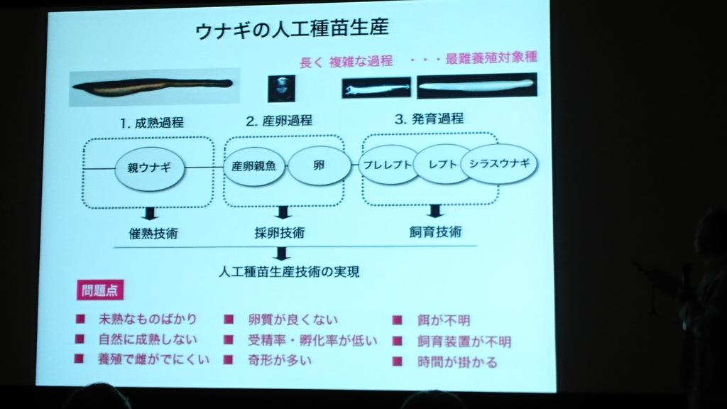kow_yoshi's tweet photo. #うな丼の未来 完全養殖の課題 #easec http://t.co/TNO1Tsup9Y