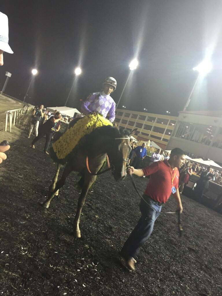 HorseshoeIndy's tweet photo. Jose Lezcano aboard Tiz Shea D wins the 21st running of the Grade II $500,000-added Indiana Derby! #DapperDerby http://t.co/dMTRpq2tVe