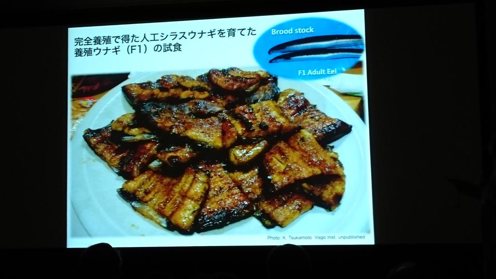 kow_yoshi's tweet photo. #うな丼の未来 ウナギの完全養殖はいつかはできる(でも、まだ道のりは厳しそう) #easec http://t.co/sBIsSfdc3n