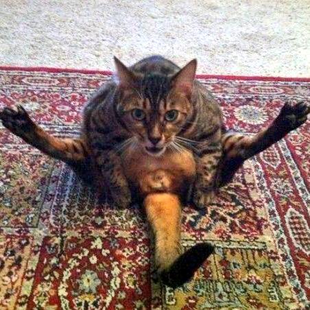 BadJordon's tweet image. #WhenIThinkOfYouICantHelpBut open myself up to new experiences.