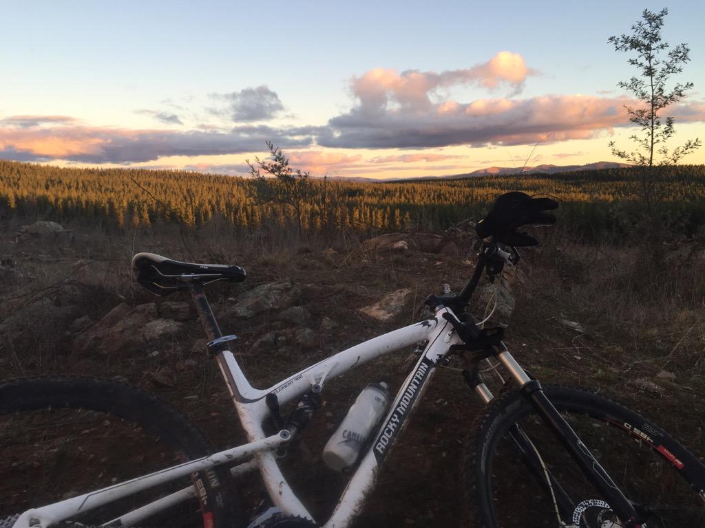 Aaaah... the light and flowing trails of Sparrow hill....