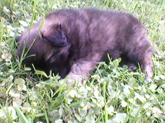 stuban2015's tweet image. 