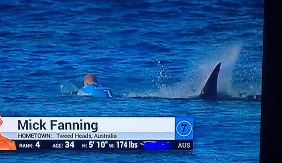 Surfer Almost Gets Eaten Alive By A Shark Before A Competition
